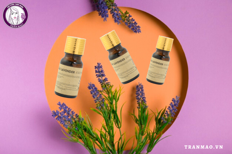 Tinh dầu lavender có công dụng gì đối với sức khỏe và sắc đẹp?