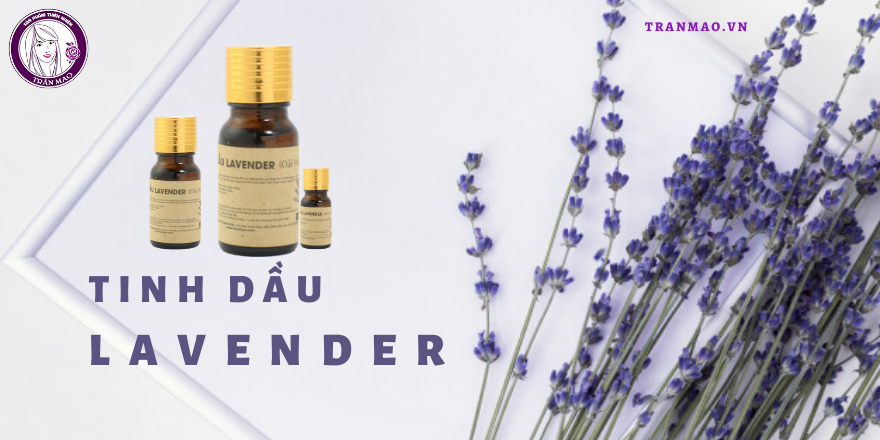 Tinh dầu lavender có công dụng gì đối với sức khỏe và sắc đẹp?