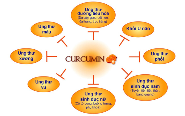 Những tác dụng của Curcumin 