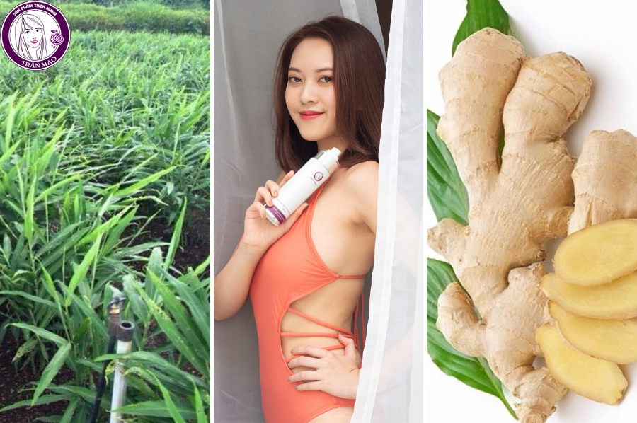 Loại bỏ mỡ thừa