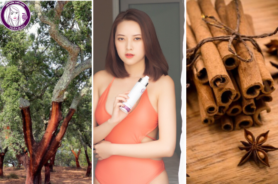 Loại bỏ mỡ thừa