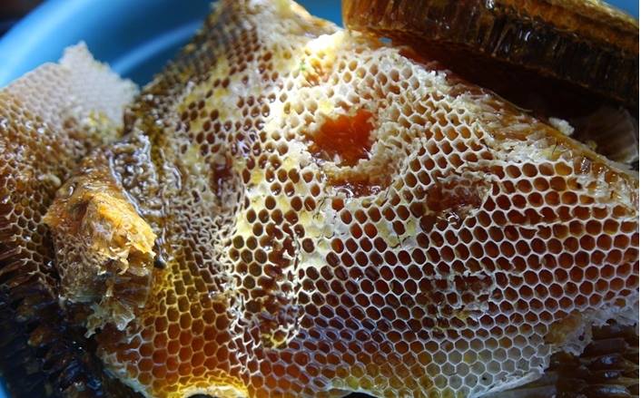 Giảm cân - tan mỡ nhờ mật ong rừng