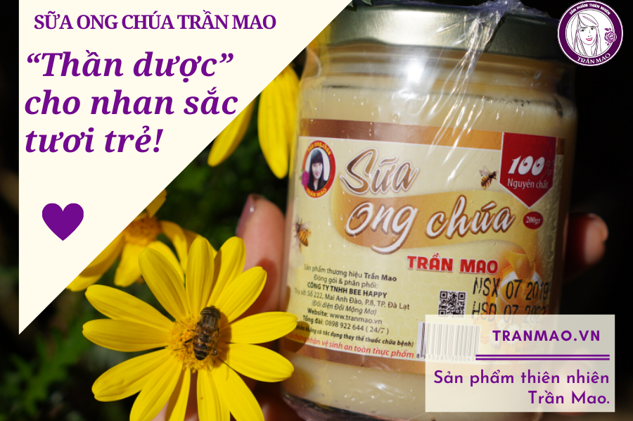 Sữa ong chúa