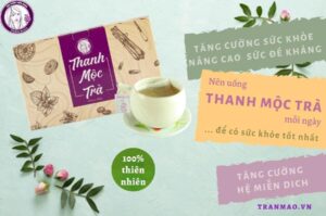 Thanh mộc trà Trần Mao có tốt không?