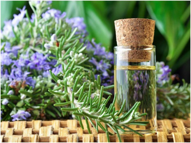 công dụng tinh dầu hương thảo