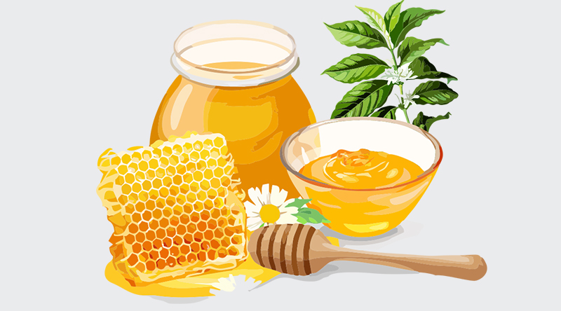 công dụng mật ong hoa cà phê 