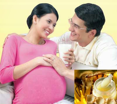Tác dụng của sữa ong chúa đối với bà bầu và thai nhi