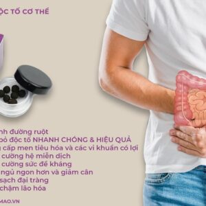 Viên thải độc tố cơ thể