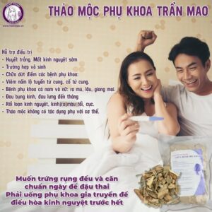 Thảo mộc phụ khoa Trần Mao