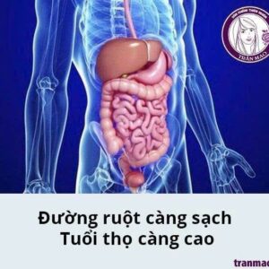 Viên thải độc tố cơ thể
