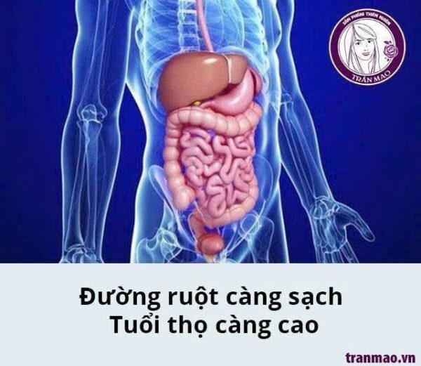 Viên thải độc tố cơ thể