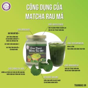 Bột Rau Má Trần Mao 100% Nguyên Chất & Không Chứa Chất Bảo Quản