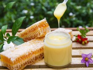 Cách Bảo Quản Sữa Ong Chúa Tươi Sau Khi Khai Thác 