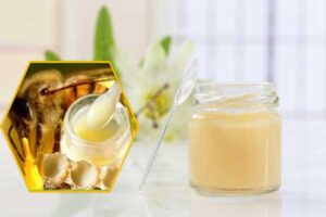 Cách Uống Sữa Ong Chúa Kết Hợp Vitamin E Mới Nhất