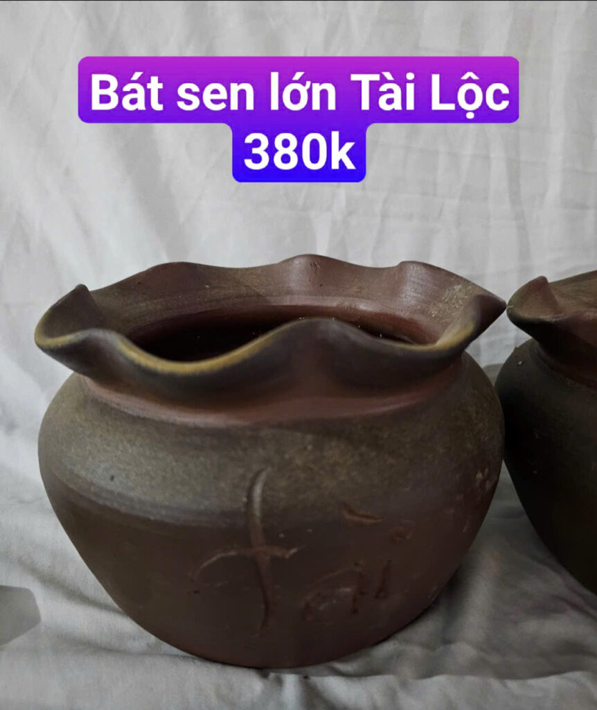 GỐM SÀNH - TRỞ VỀ VỚI ĐẤT MẸ BÁT SEN TÀI LỘC LỚN 380K CÒN 360K